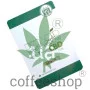 White Widow CBD Feminised